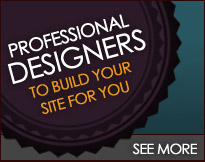 Build111 professional design